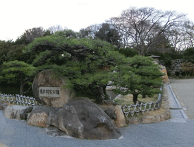 ���Ώ����̏��̎ʐ^