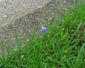 �q�i�L�L���E�̎ʐ^