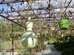 �e��q���E�^����