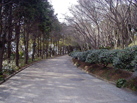 �ؗ�Ȃ�ꑰ�@���H�̎ʐ^