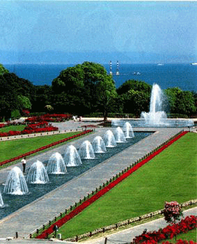 �{�����{�����ʐ^