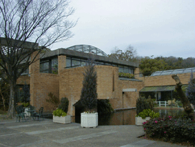 �{�����{���������̎ʐ^