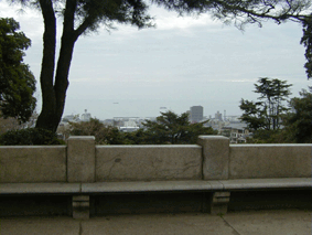 �{�����{����������̎ʐ^