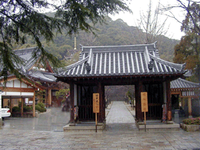 �{��������