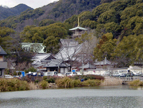 �{�����Ɛ{����r�̎ʐ^