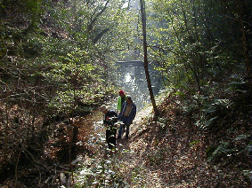 �V�c�̐��ʐ^